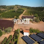 banner fazenda - Café Especial Pitangui Em Grãos +84 pontos 500g